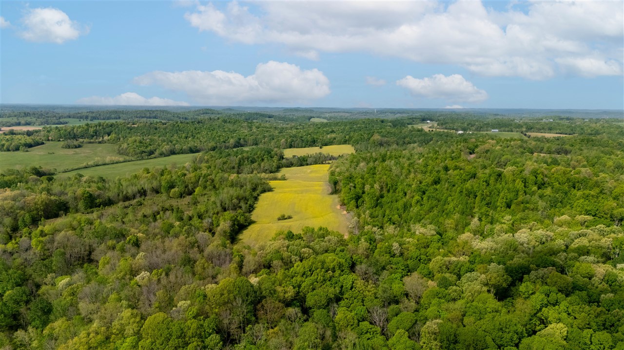 5384 Richardsville Road Property Photo 6