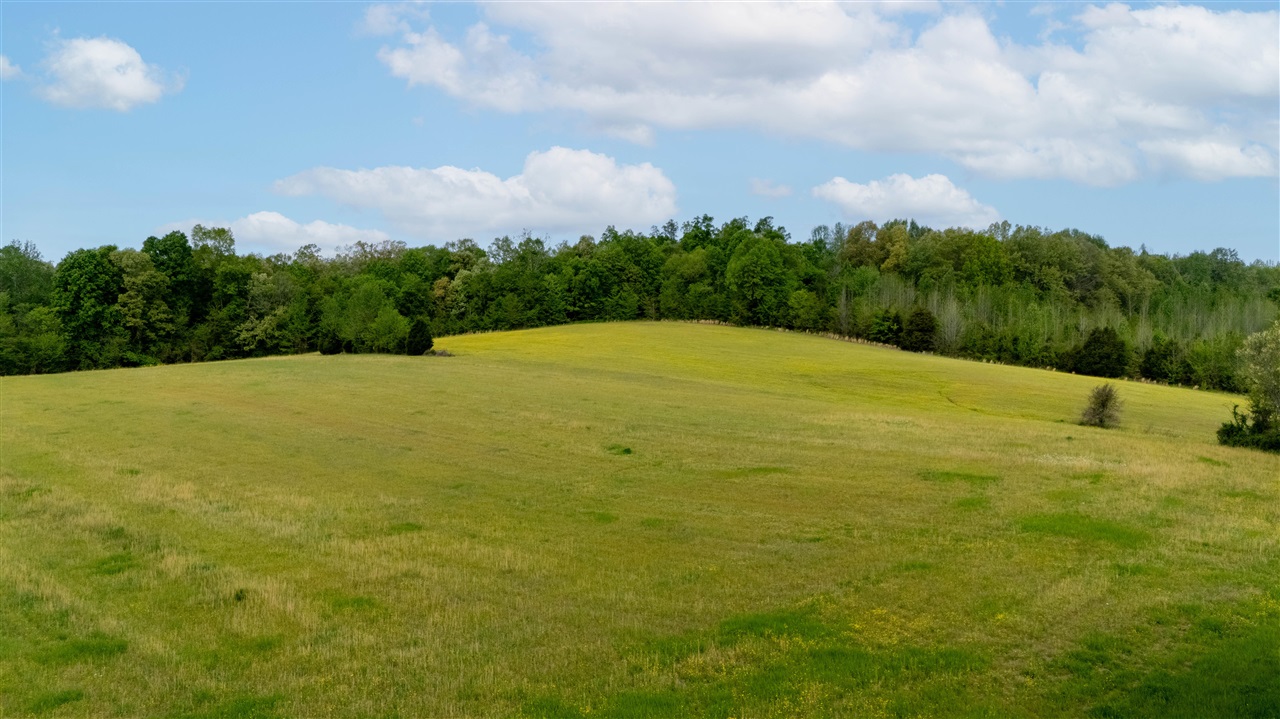 5384 Richardsville Road Property Photo 16