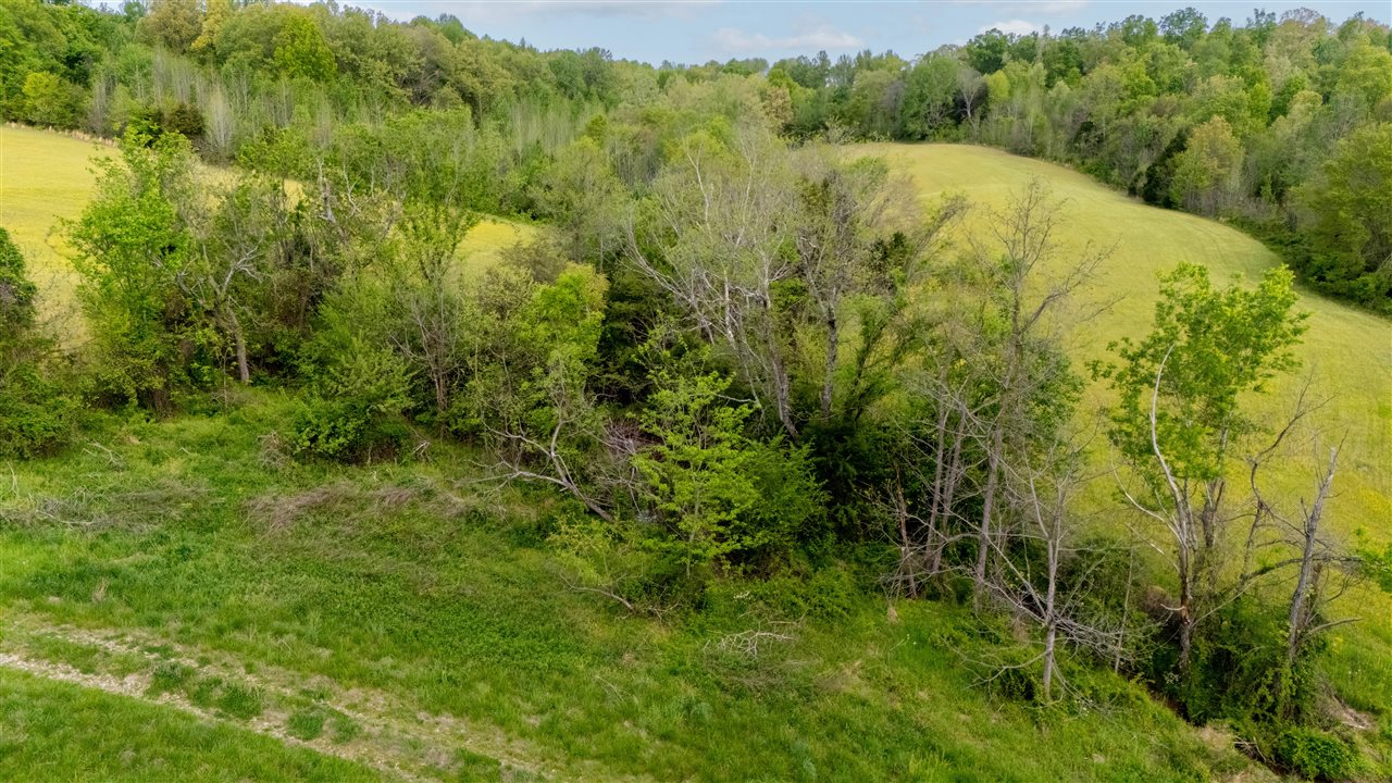 5384 Richardsville Road Property Photo 17