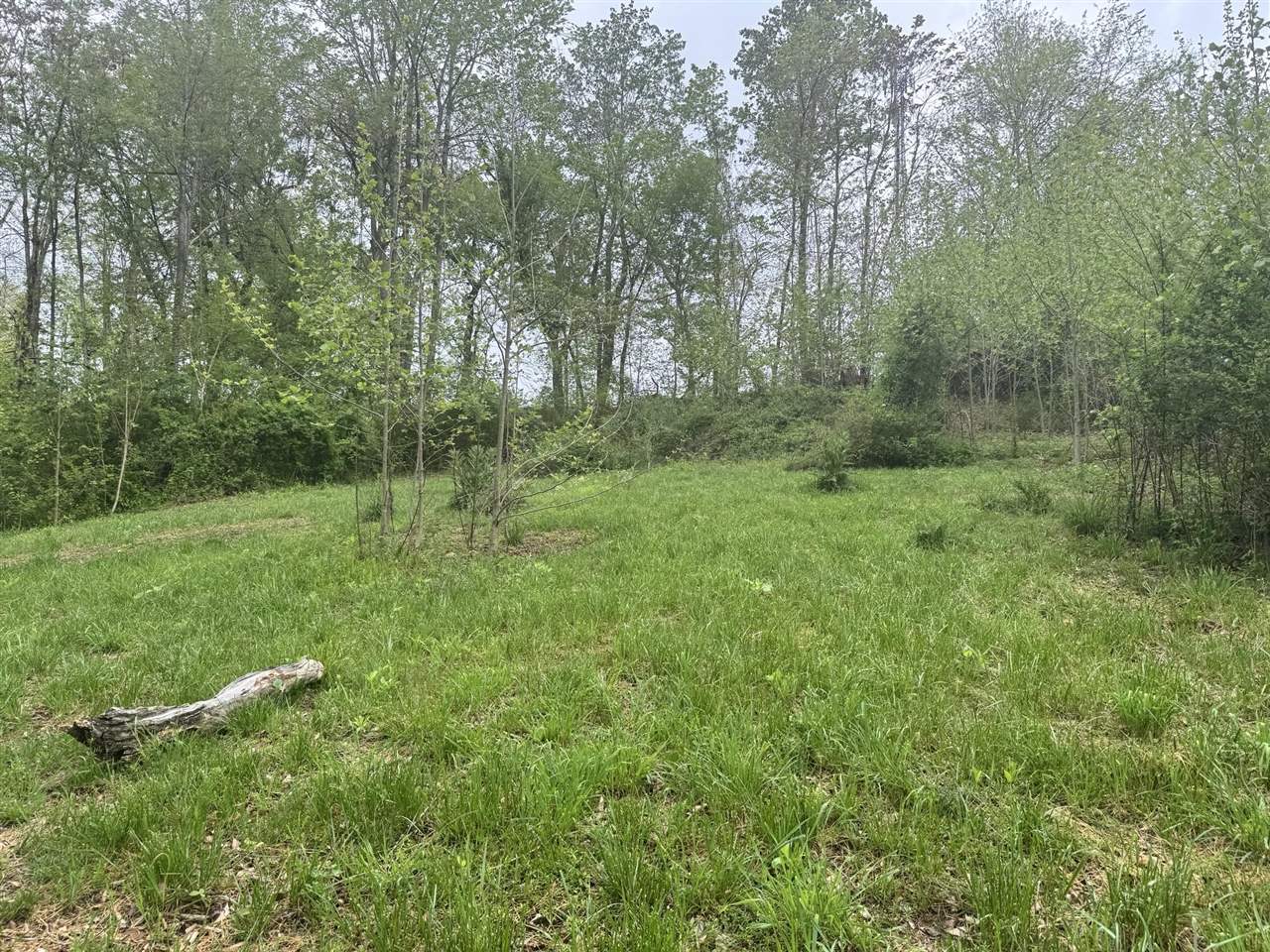 64 Lex Carter Circle Property Photo 1