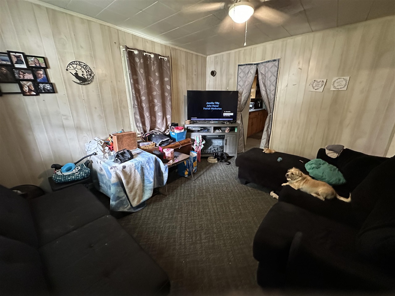 229 Eastview Drive Property Photo 4