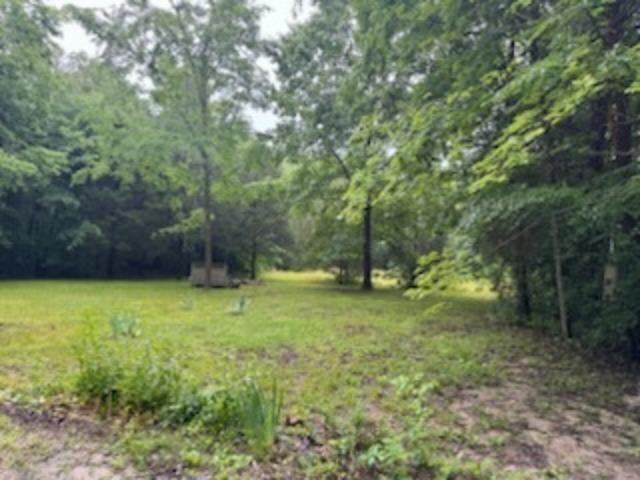 775 Slim Island Road Property Photo 3