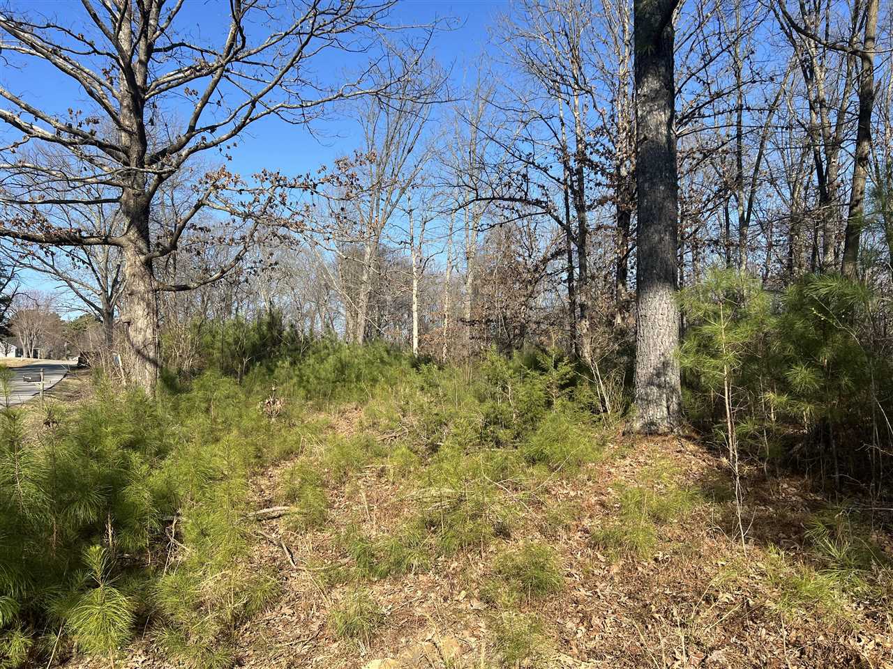 Lot 2 Hill Road Property Photo 1