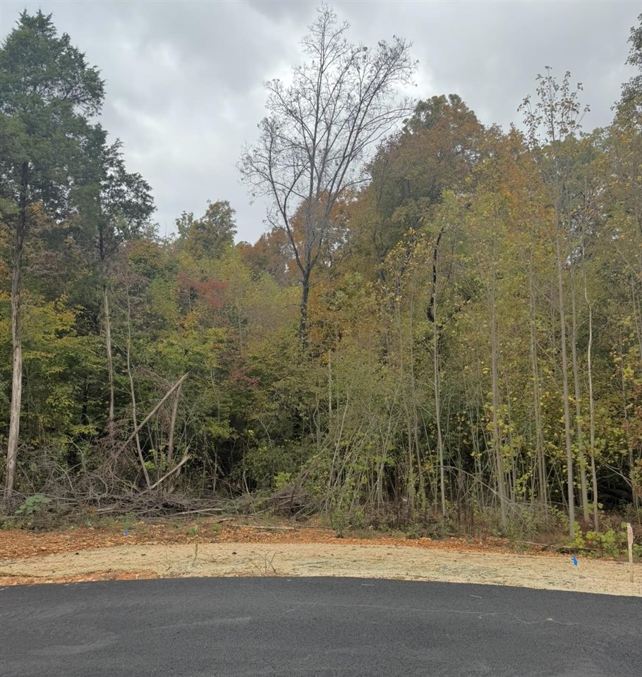 Lot 22 Deer Park Property Photo 1