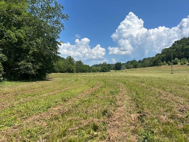 0 Leatherwood Church Road Property Photo 1