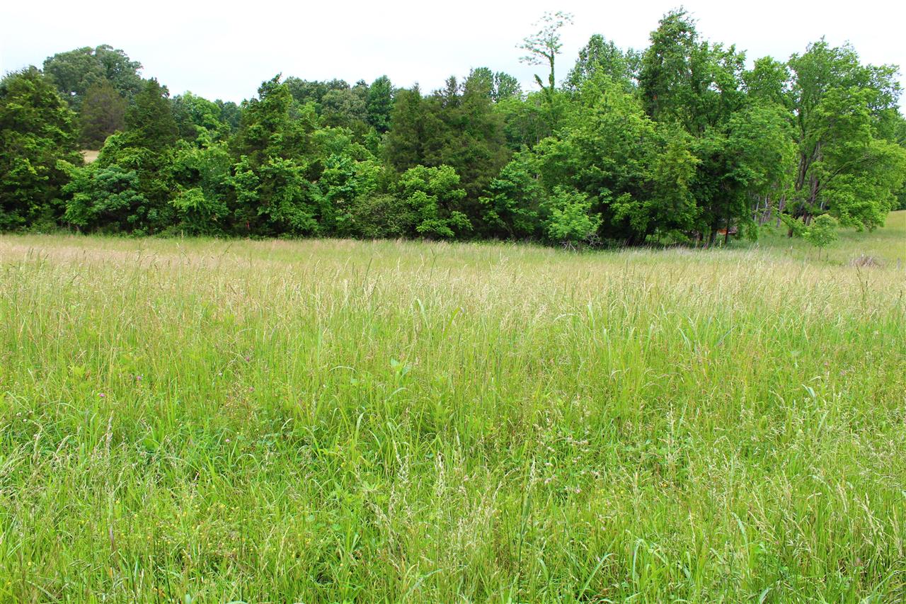 667 Calvert Road Property Photo 1