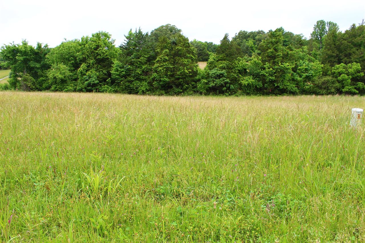 667 Calvert Road Property Photo 2