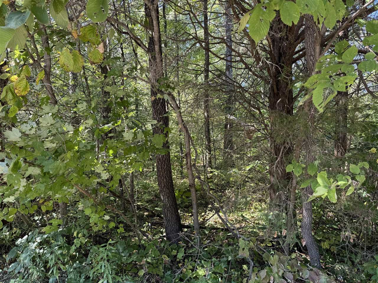 Tract 1 William Simmons Road Property Photo 2