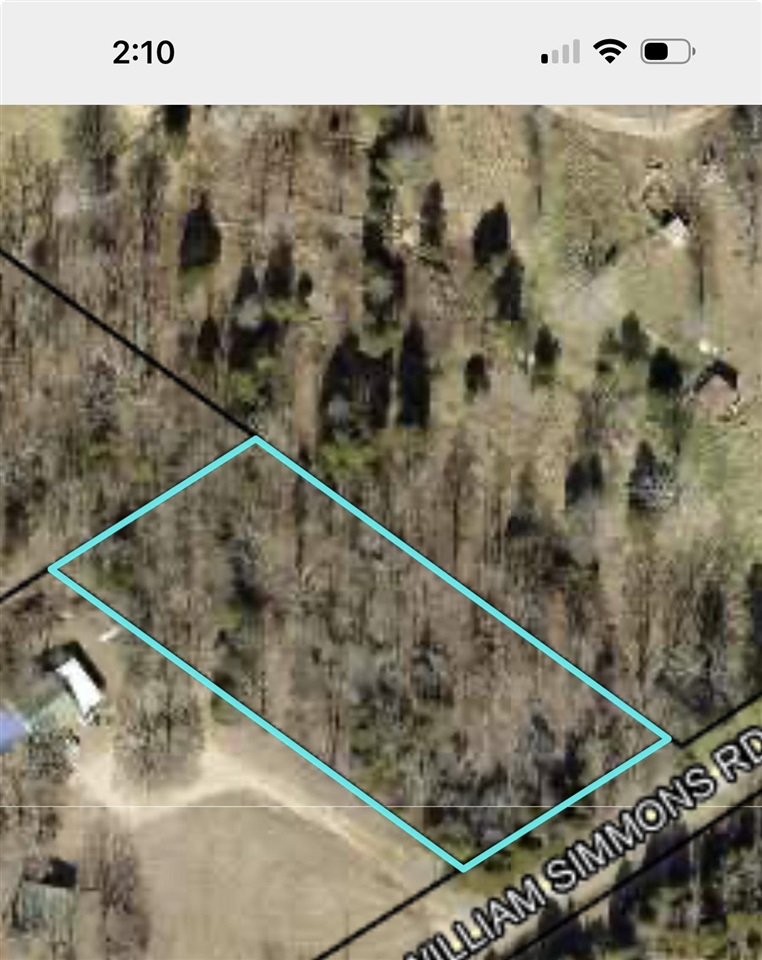 Tract 1 William Simmons Road Property Photo 4
