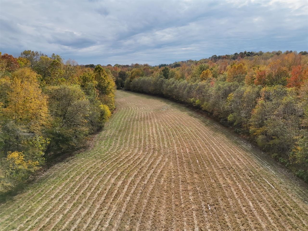 1529 Holston Hollow Road Property Photo 1