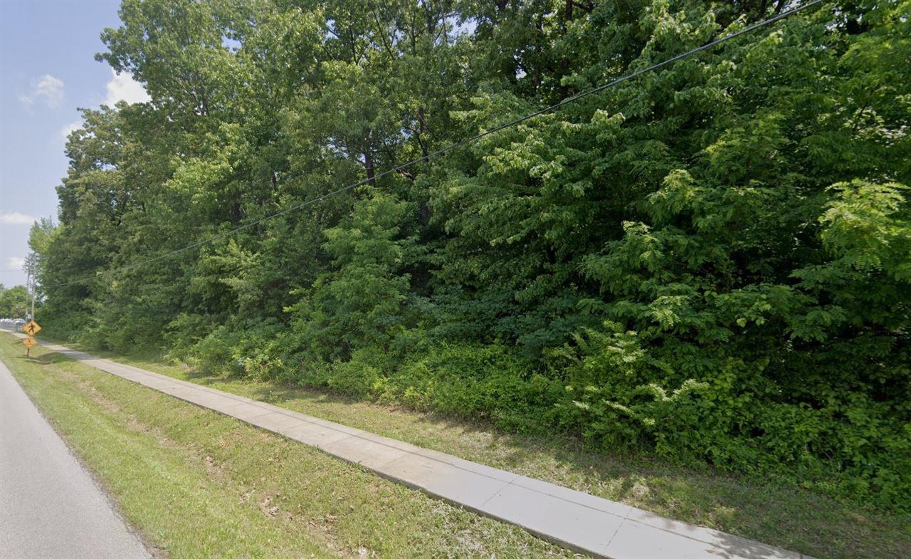 Lot 0 Witt Road Property Photo 1