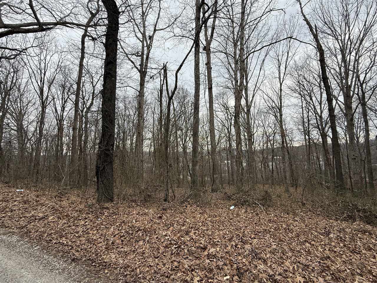 0 Pitcher Road Property Photo 1