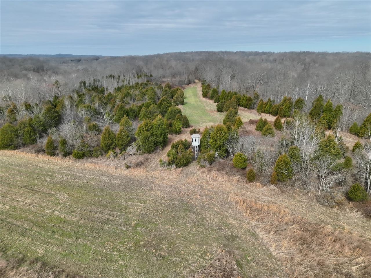 463 Charlie Shepherd Road Property Photo 4