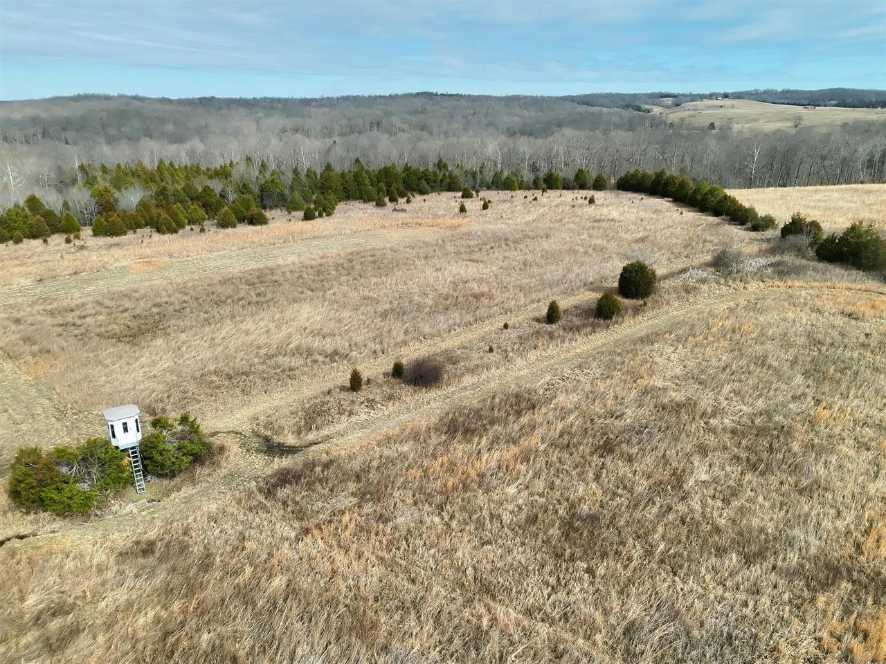 463 Charlie Shepherd Road Property Photo 10