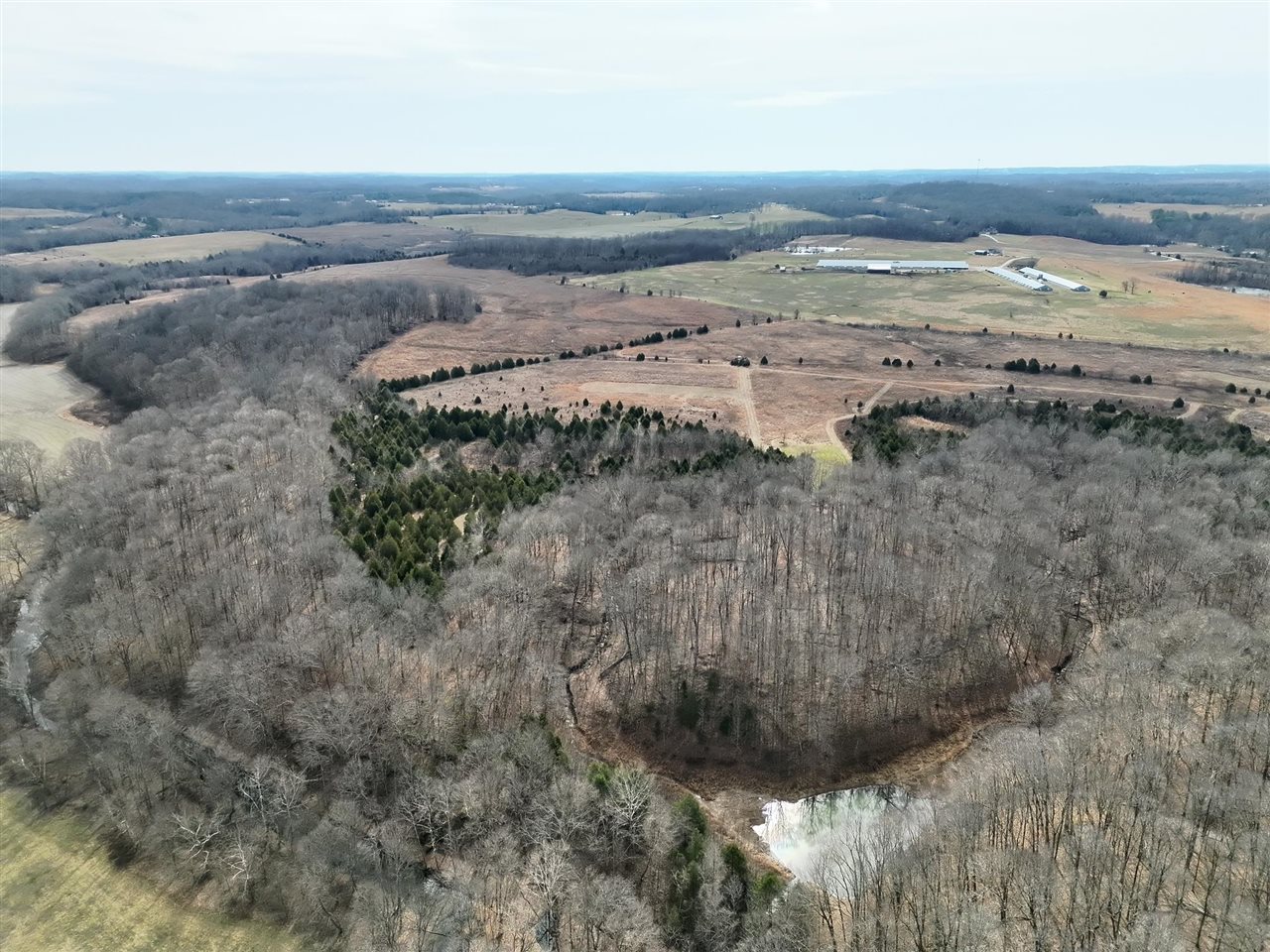 463 Charlie Shepherd Road Property Photo 13