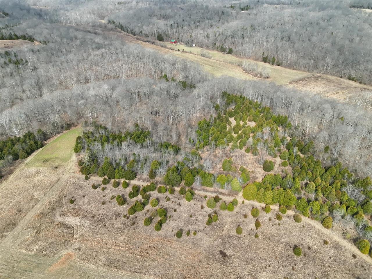 463 Charlie Shepherd Road Property Photo 14