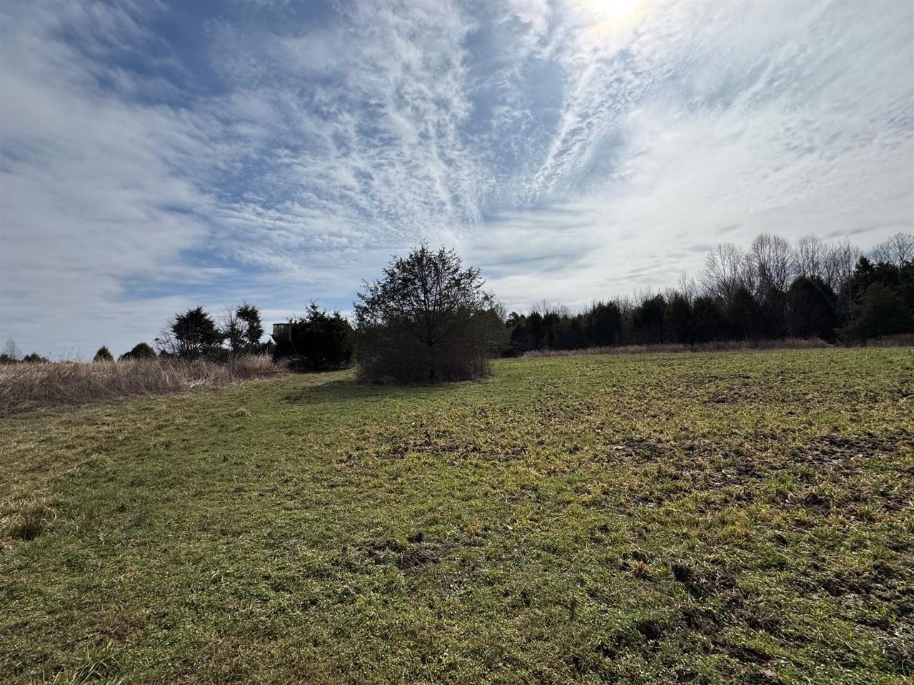 463 Charlie Shepherd Road Property Photo 31