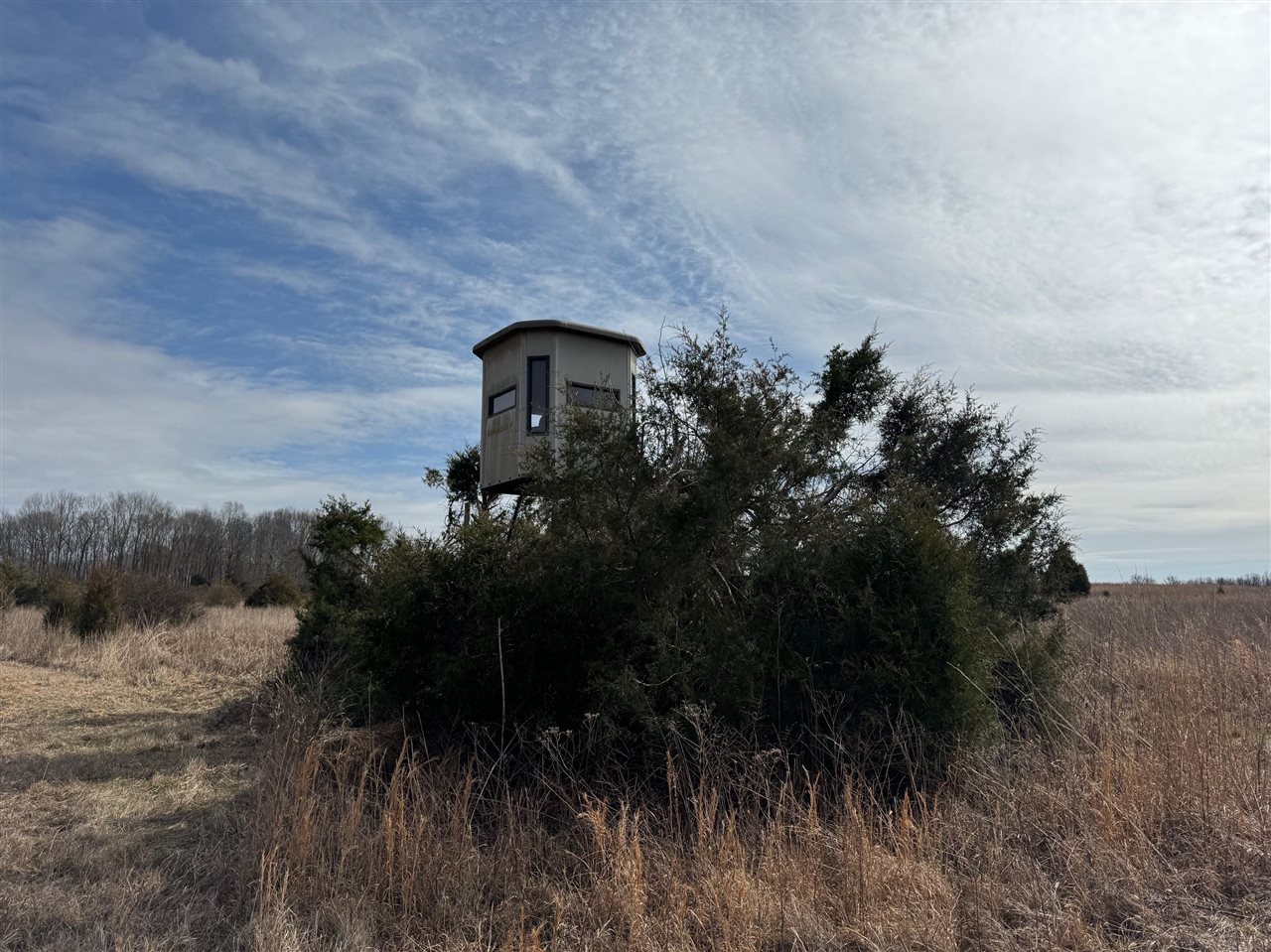 463 Charlie Shepherd Road Property Photo 33