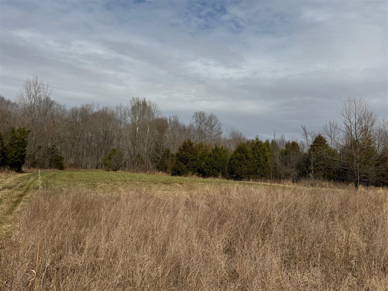 463 Charlie Shepherd Road Property Photo 35