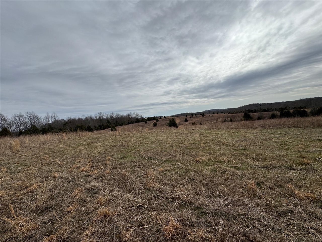 463 Charlie Shepherd Road Property Photo 38