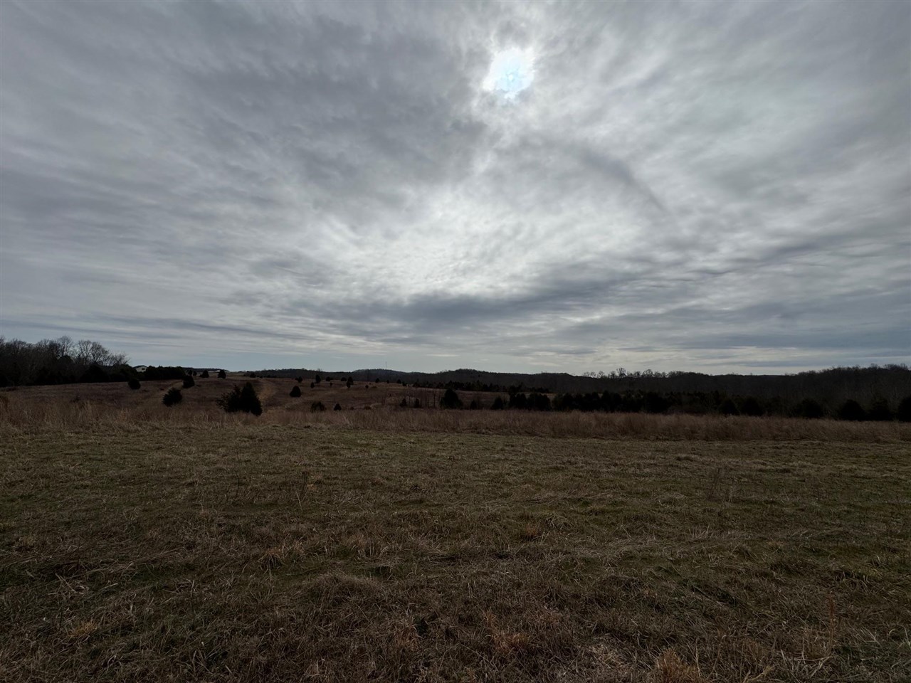 463 Charlie Shepherd Road Property Photo 39