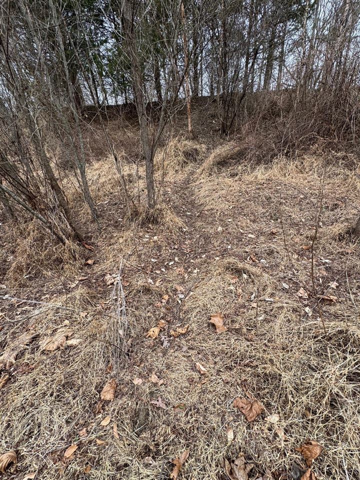 463 Charlie Shepherd Road Property Photo 46