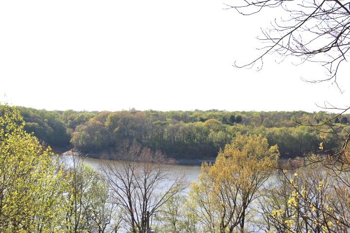 73 Willow Tree Circle Property Photo 2