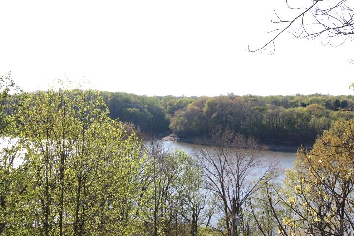 73 Willow Tree Circle Property Photo 4