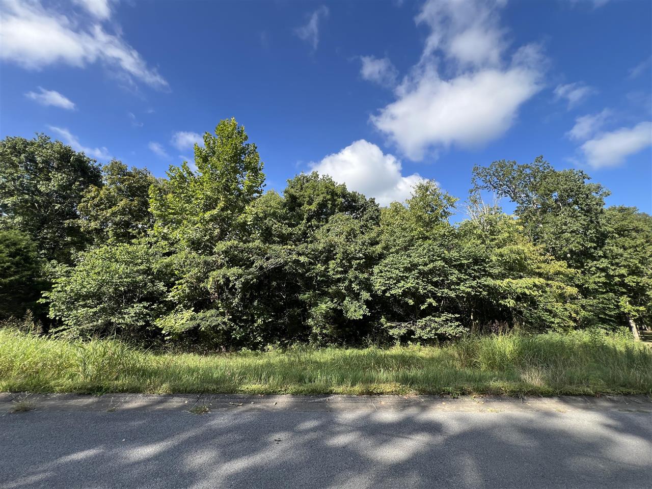 2111 Sugarwood Drive Property Photo 1