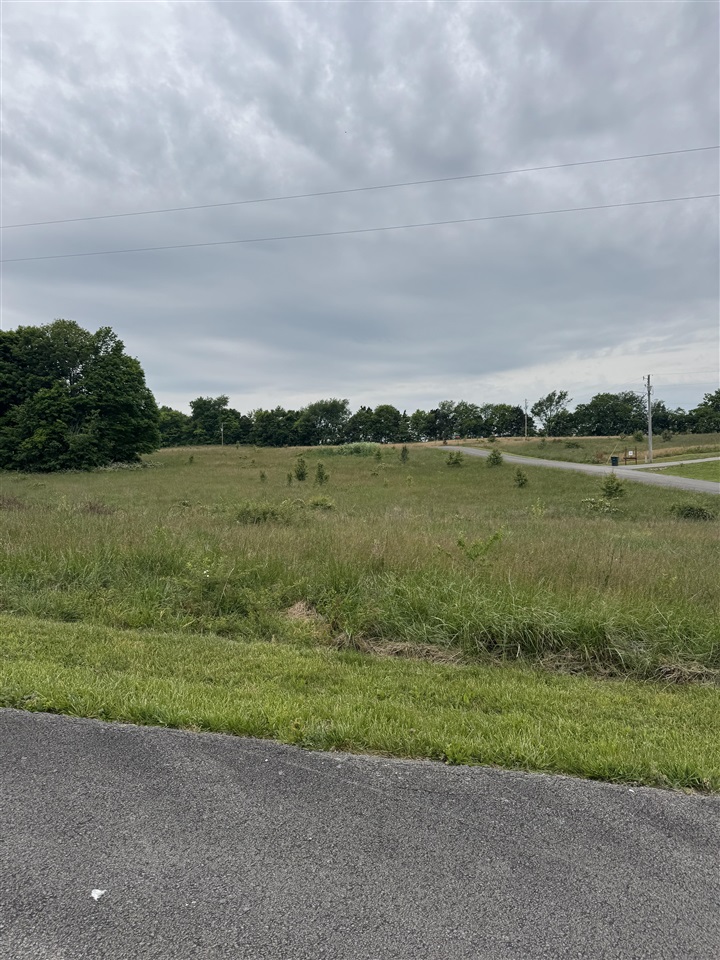 Lot 19 Laurel Way Property Photo 1