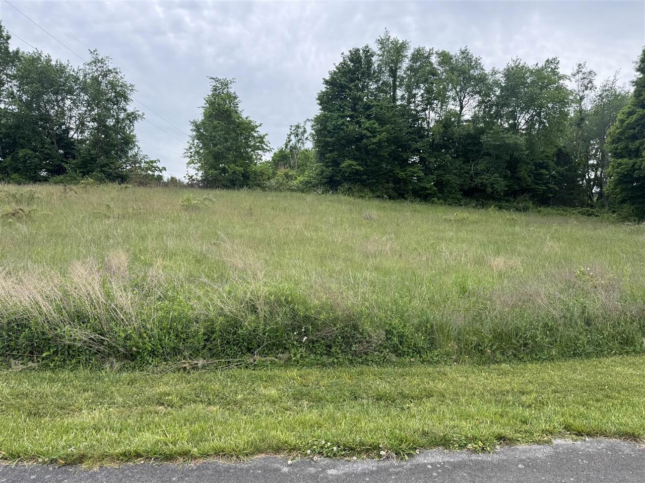 Lot 20 Laurel Way Property Photo 1
