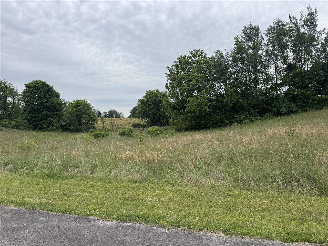 Lot 21 Laurel Way Property Photo 1