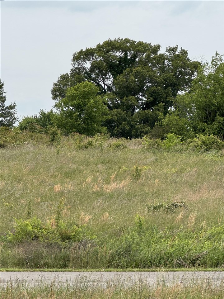 Lot 25 Laurel Way Property Photo 1