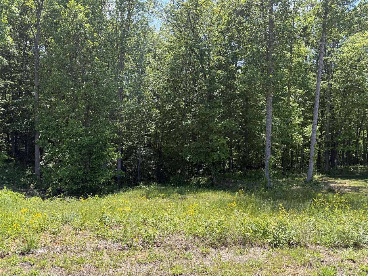 Lot 17 Vance Drive Property Photo 1