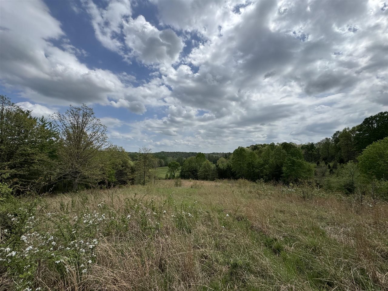 577 Bratcher Road Property Photo 5
