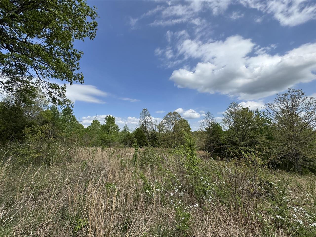 577 Bratcher Road Property Photo 6