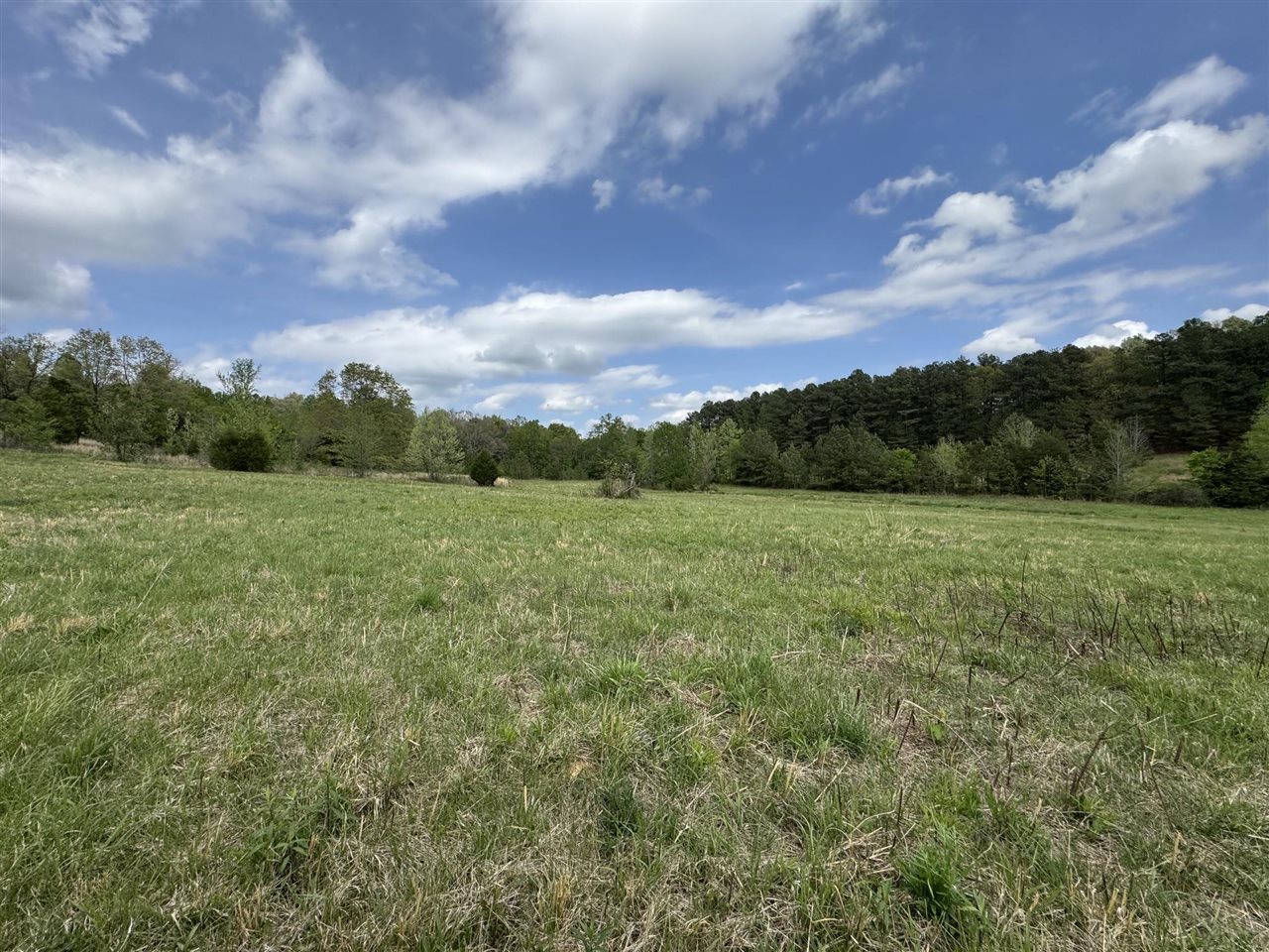 577 Bratcher Road Property Photo 8