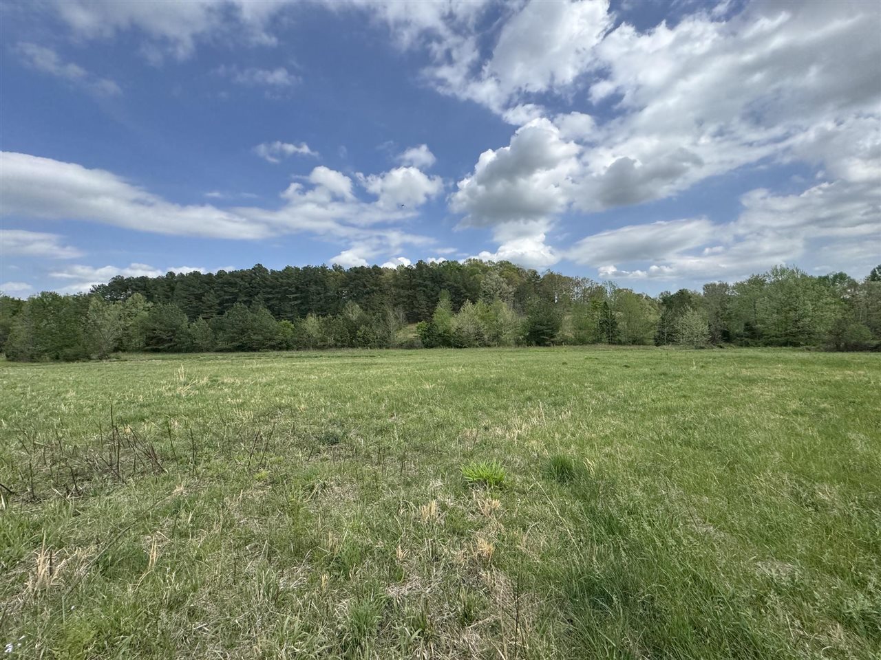 577 Bratcher Road Property Photo 9