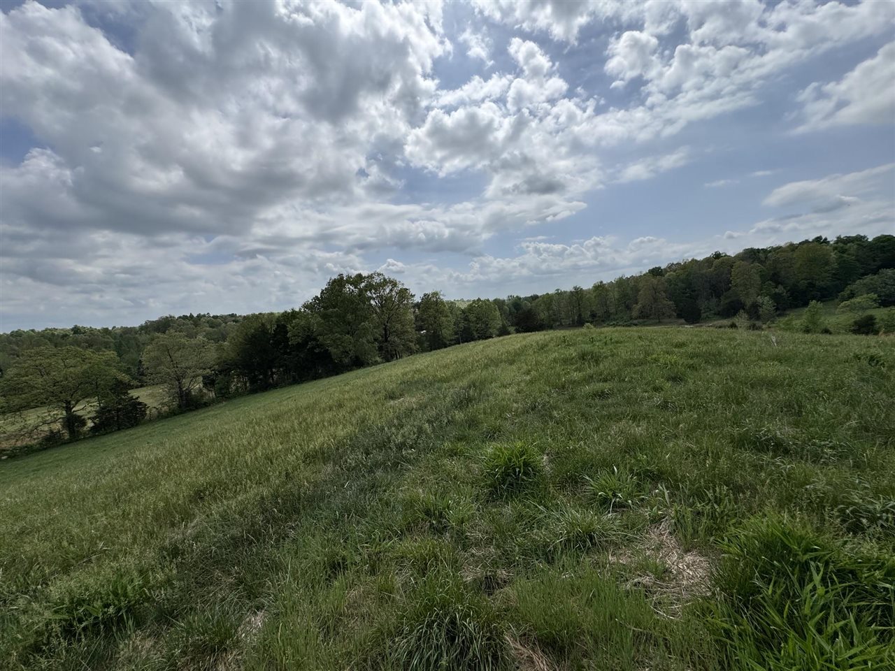 577 Bratcher Road Property Photo 12