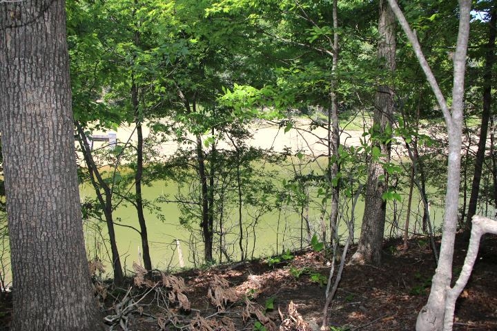 Lot #41 Hurt Lane Property Photo 1