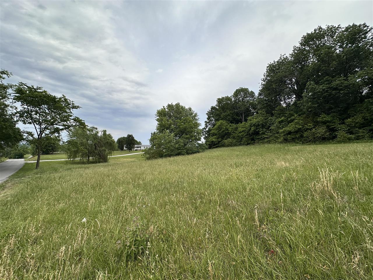 0 Mount Zion Road Property Photo 1