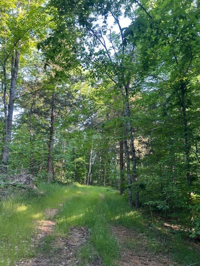 00 Greenbrier Rd Property Photo 6