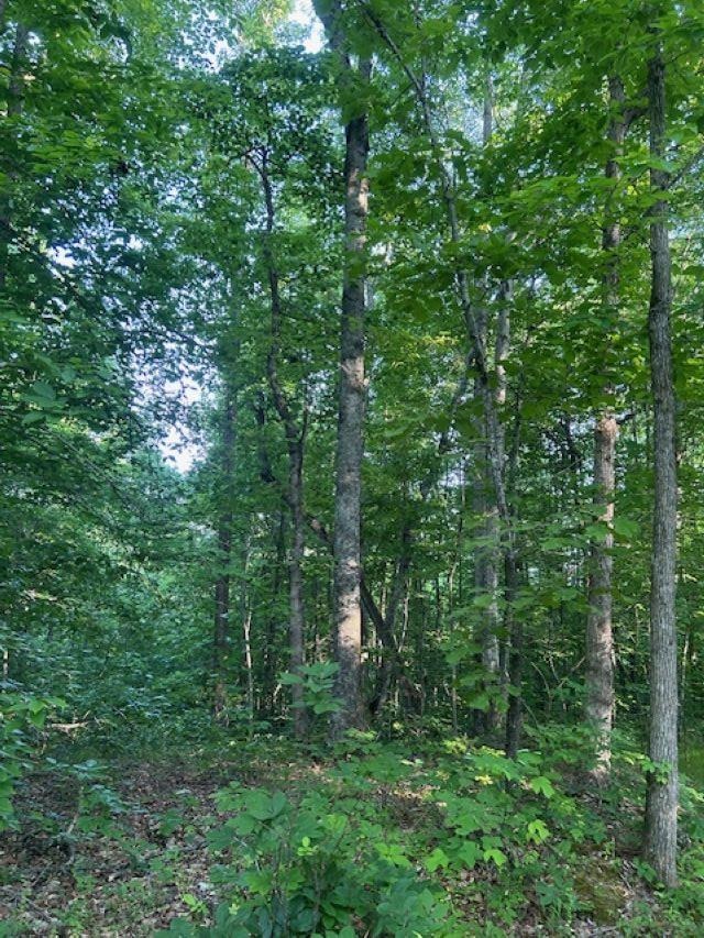 00 Greenbrier Rd Property Photo 8