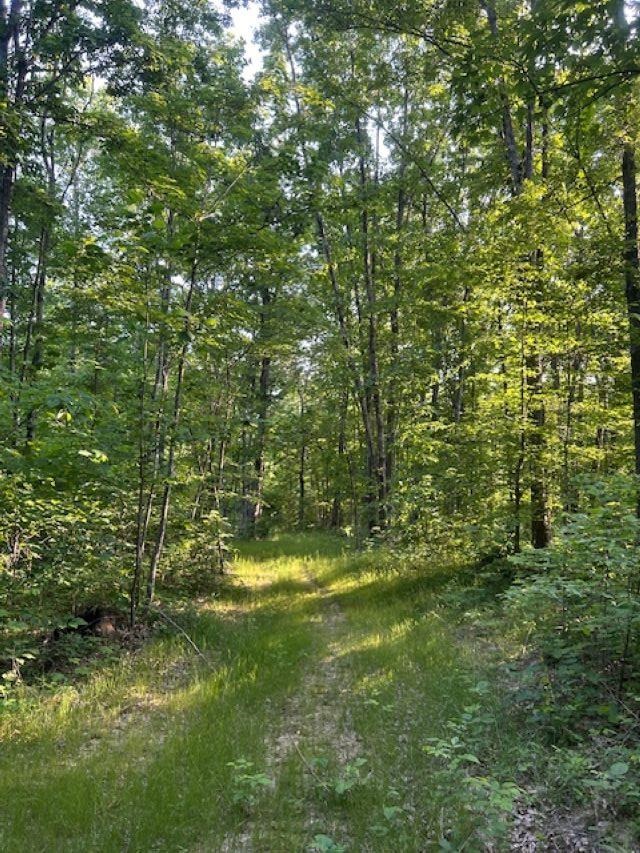 00 Greenbrier Rd Property Photo 10