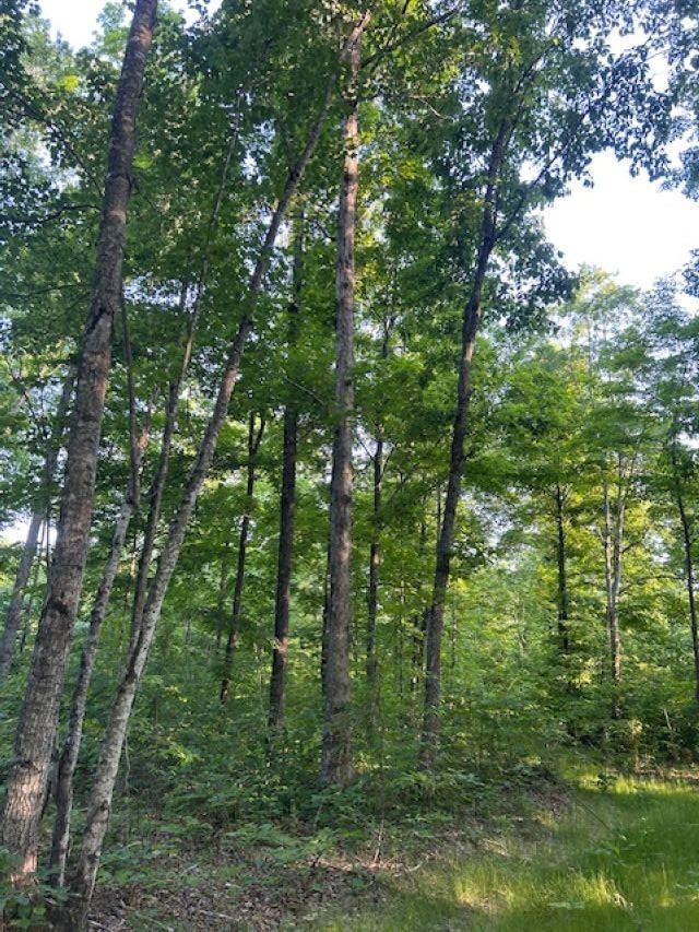 00 Greenbrier Rd Property Photo 11