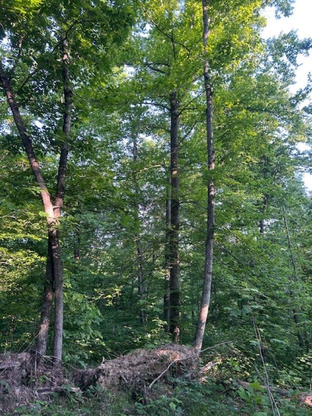 00 Greenbrier Rd Property Photo 12