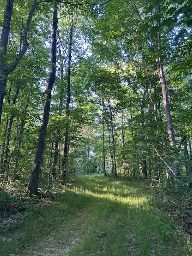00 Greenbrier Rd Property Photo 15