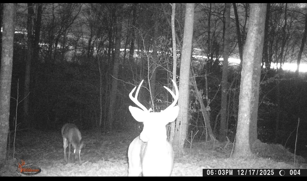 00 Greenbrier Rd Property Photo 17