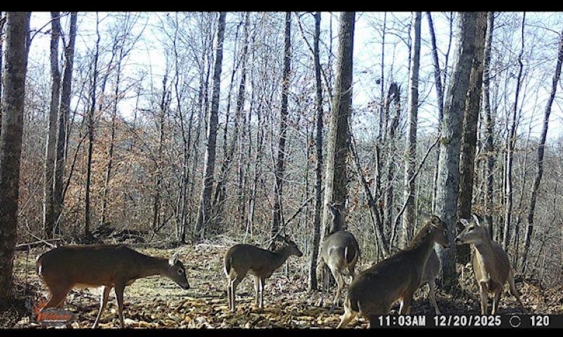 00 Greenbrier Rd Property Photo 22