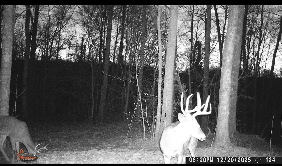 00 Greenbrier Rd Property Photo 23